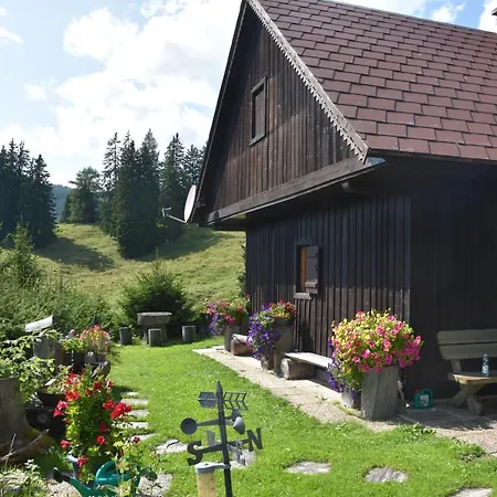 Jagdhuette Gammeringalm 皮恩山口附近施皮塔尔