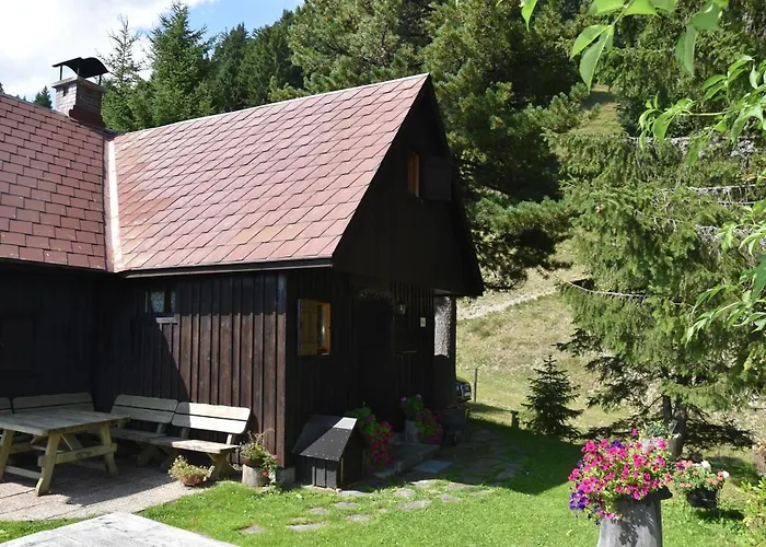 Jagdhuette Gammeringalm 別荘 シュピタル・アム・ピュールン