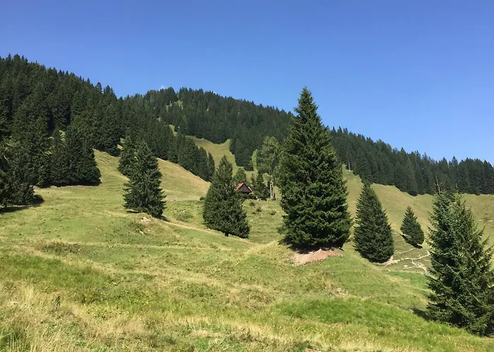 Jagdhuette Gammeringalm