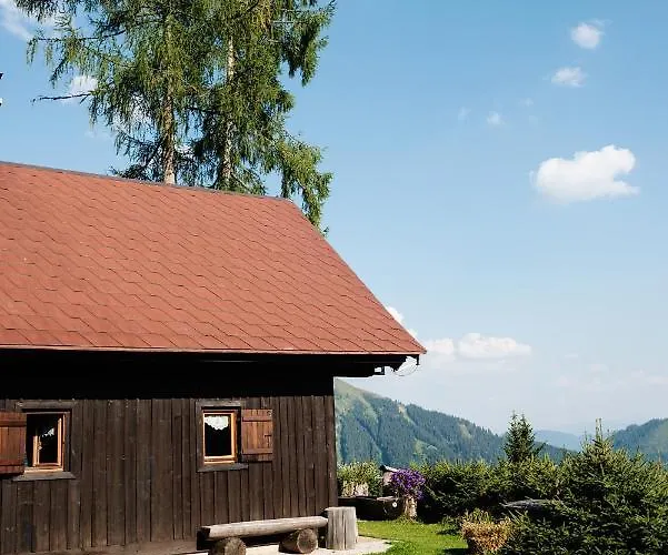 Jagdhuette Gammeringalm بيت للعطل شبيتال أم بيرن